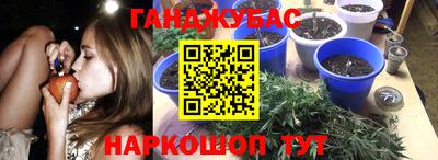 jwh Славгород