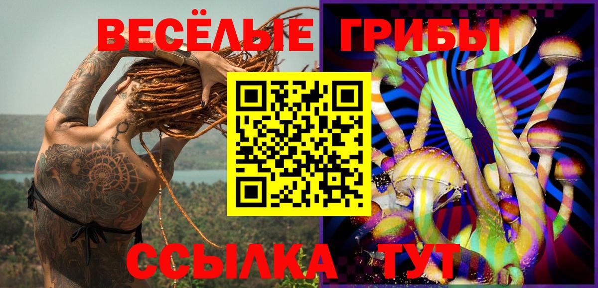 Новый Уренгой  цены   Вход с VPN  Псилоцибиновые грибы Psilocybine cubensis 